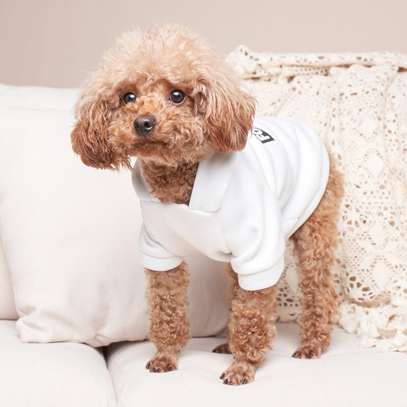 

Letter Graphic Pet Hoodie, White