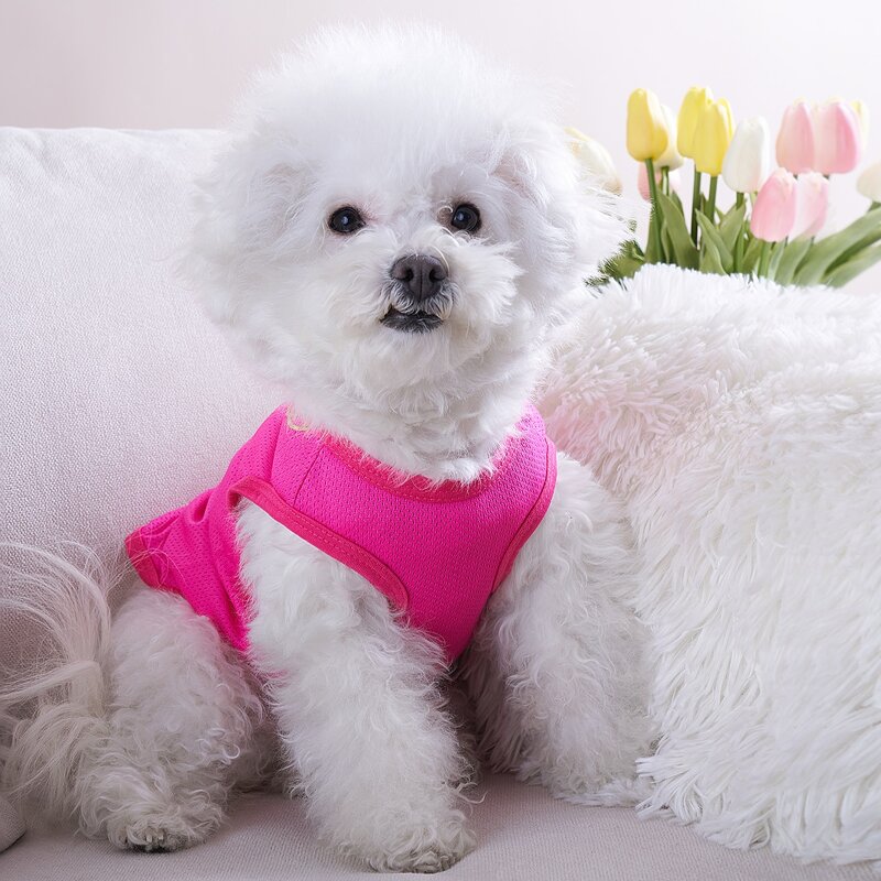 

Necklace Print Pet Tank, Hot pink