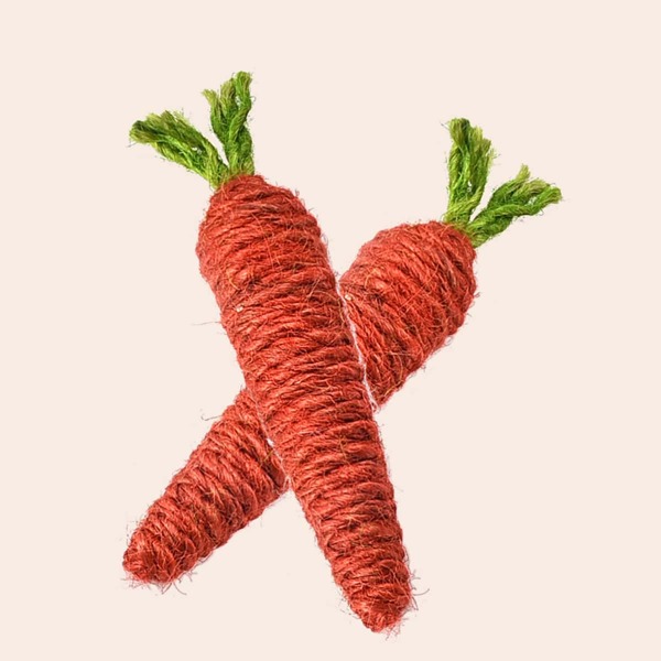 

2pcs Carrot Shaped Pet Chew Toy, Burnt orange