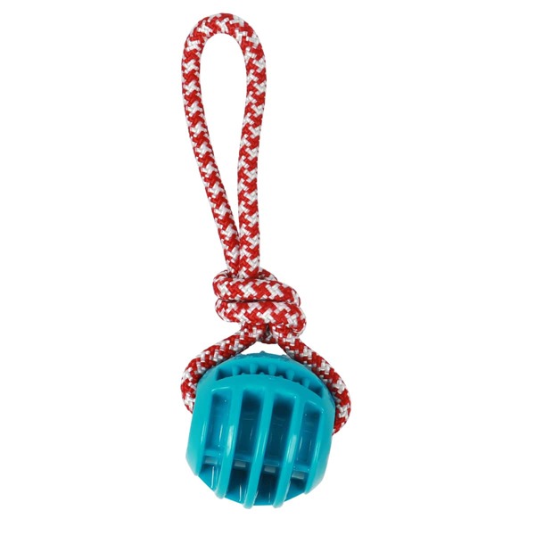 

Braided Rope Decor Ball Pet Chew Toy, Blue