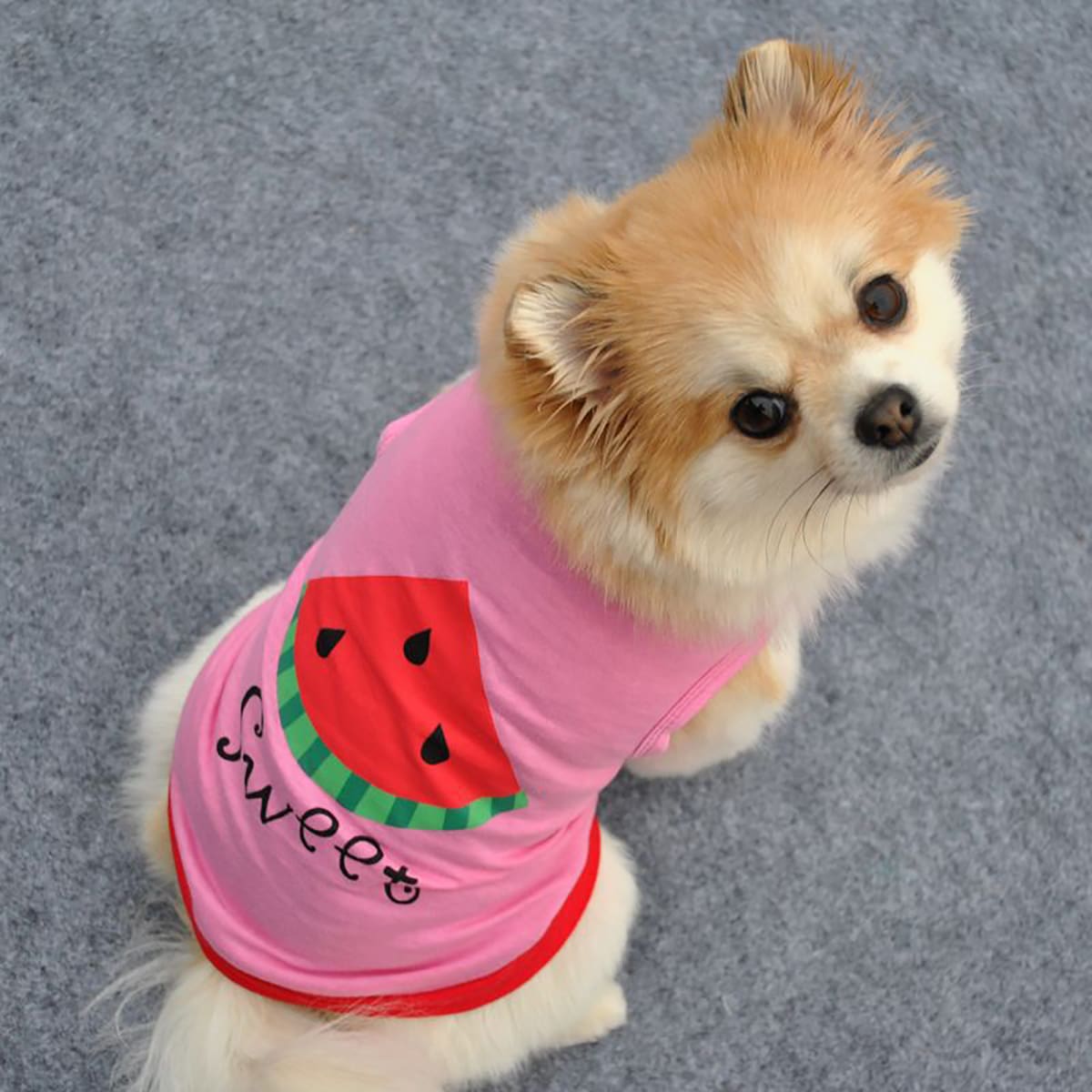 

Watermelon Print Pet Tank Top, Pink