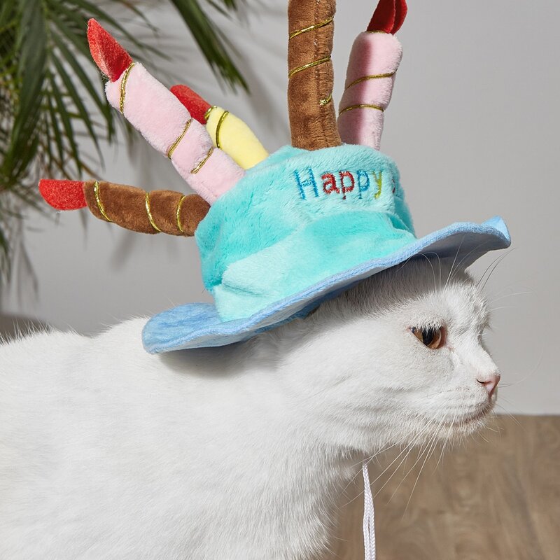 

1pc Birthday Cake Pet Hat, Blue