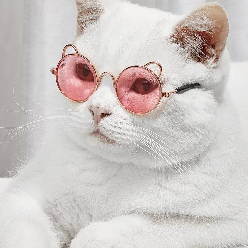 

1pair Ear Detail Pet Glasses, Pink