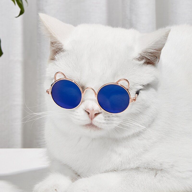 

1pair Ear Detail Pet Glasses, Blue