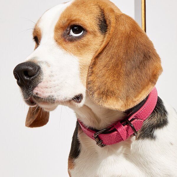 

1pc PU Buckle Pet Collar, Pink