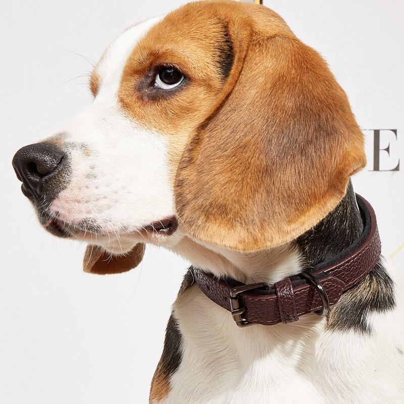 

1pc PU Buckle Pet Collar, Brown