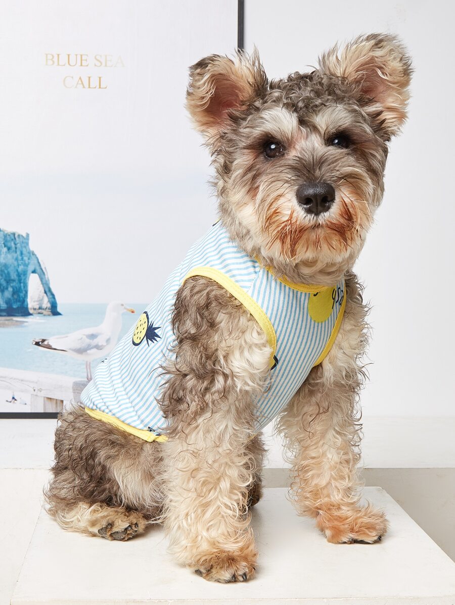 Fruit Print Pet Tank