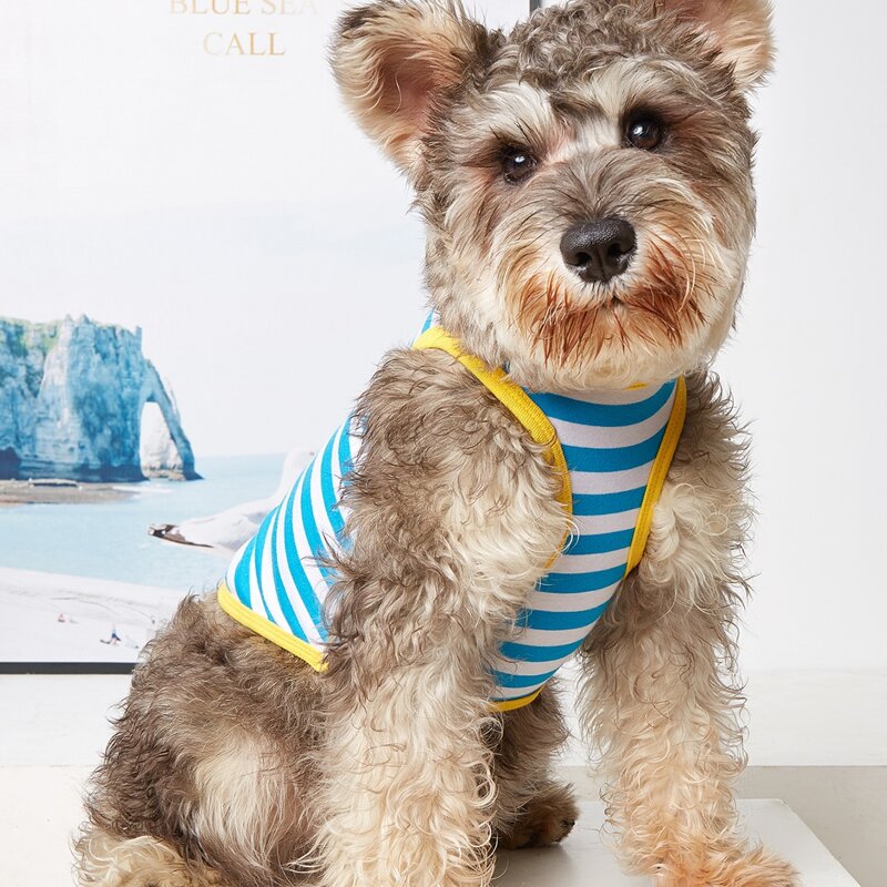 

Striped Pattern Pet Tank, Multicolor