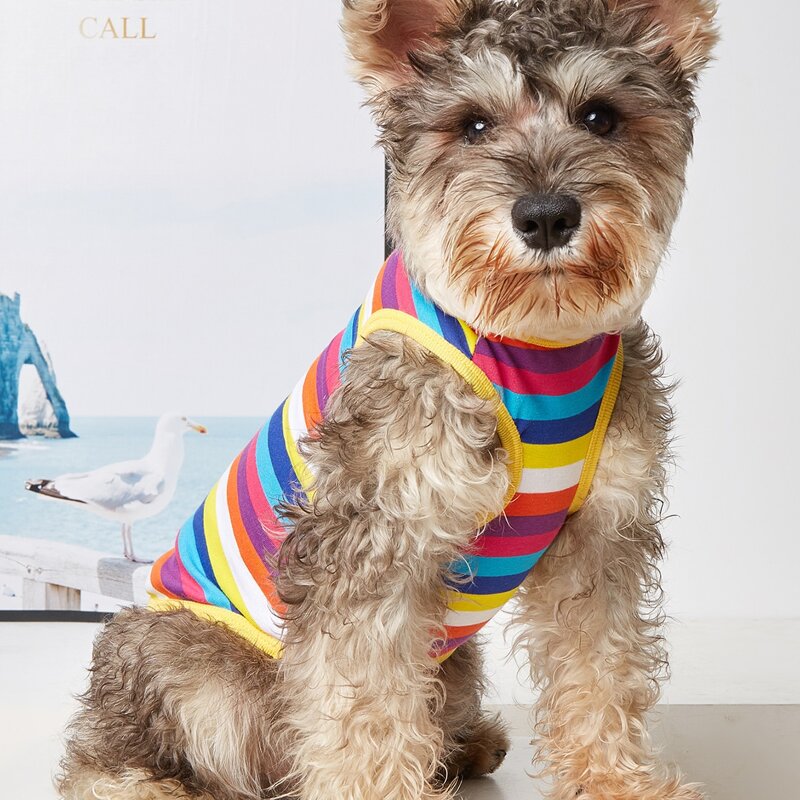 

Striped Pattern Pet Tank, Multicolor