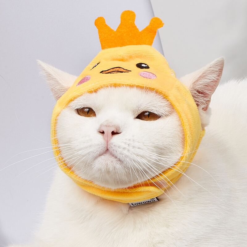

Chick Design Pet Hat, Yellow