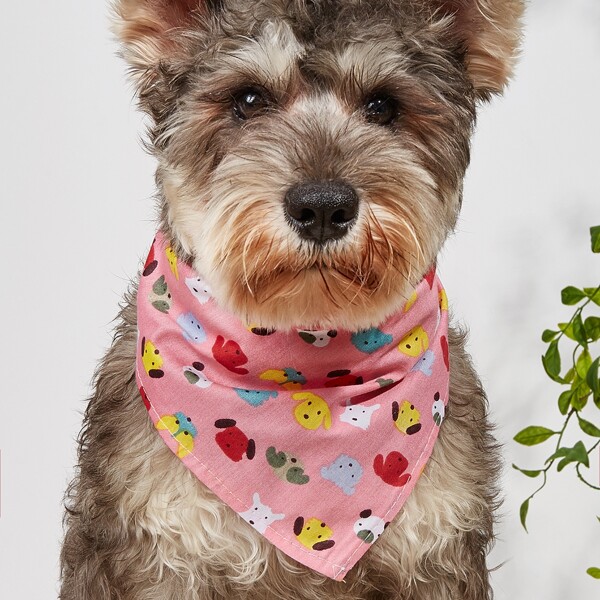 

Cartoon Graphic Pet Bandana, Multicolor