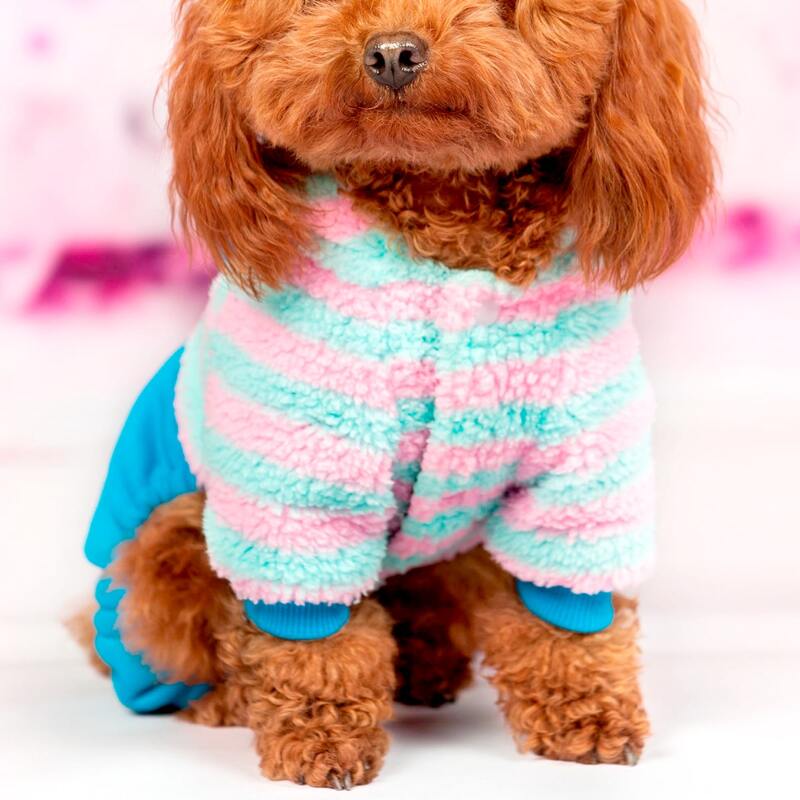 

Striped Pattern Pet Jumpsuit, Blue