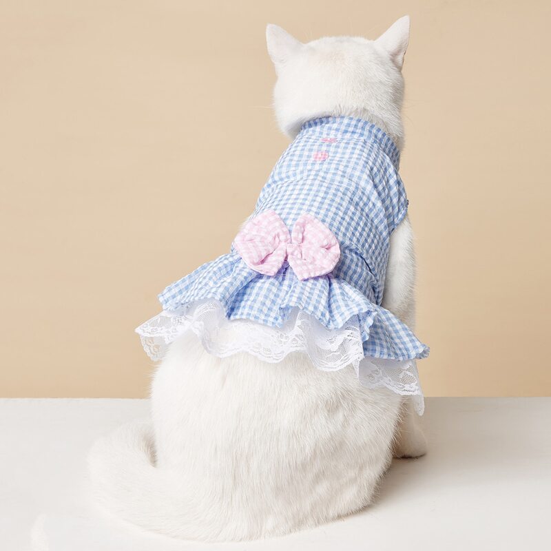 

Bow Decor Plaid Pet Dress, Blue