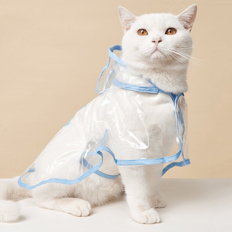 

Cartoon Graphic Clear Pet Raincoat, Blue
