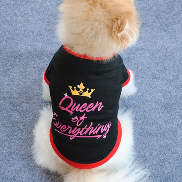 

Slogan Graphic Pet Tee, Black