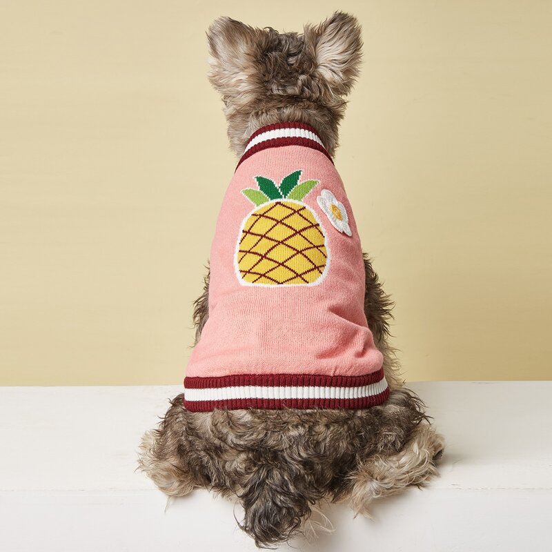 

Pineapple Pattern Pet Sweater, Pink