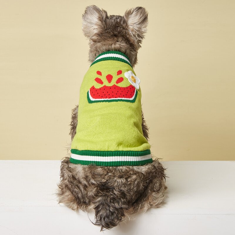 

Watermelon Pattern Pet Sweater, Green