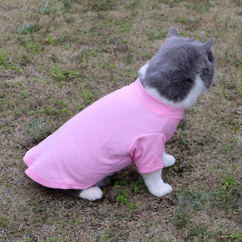 

Solid Color Pet Tee, Pink