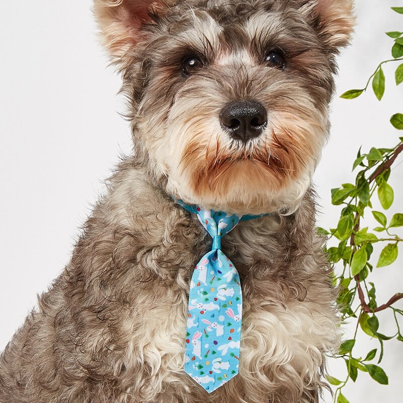 

Easter Bunny Print Pet Tie, Blue