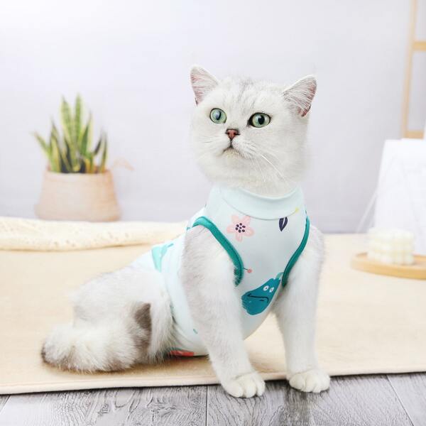 

Cartoon Graphic Pet Recovery Suit, Multicolor