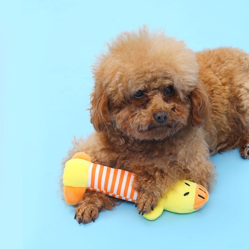

Duck Shaped Pet Plush Toy, Multicolor