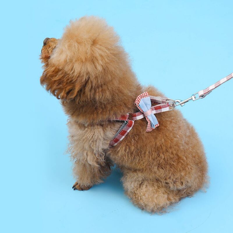 

1pc Bow Decor Pet Harness & 1pc Leash, Multicolor