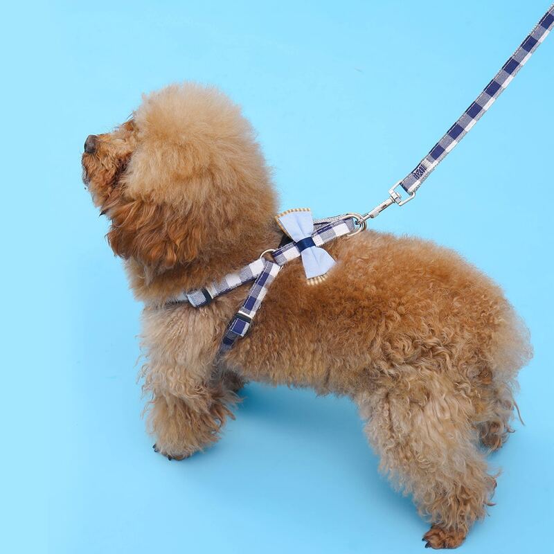 

1pc Bow Decor Pet Harness & 1pc Leash, Multicolor
