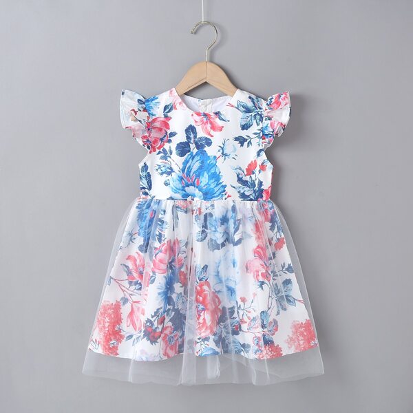 

Toddler Girls Floral Print Mesh Overlay Babydoll Dress, Multicolor