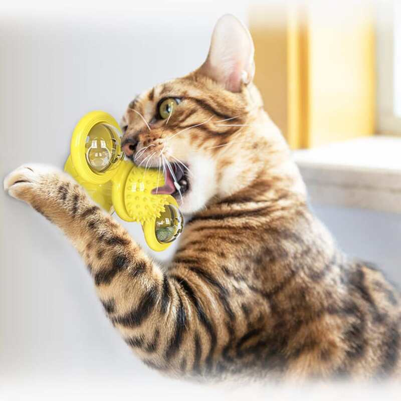 

1pc Random Spinning windmill Cat Toy, Multicolor