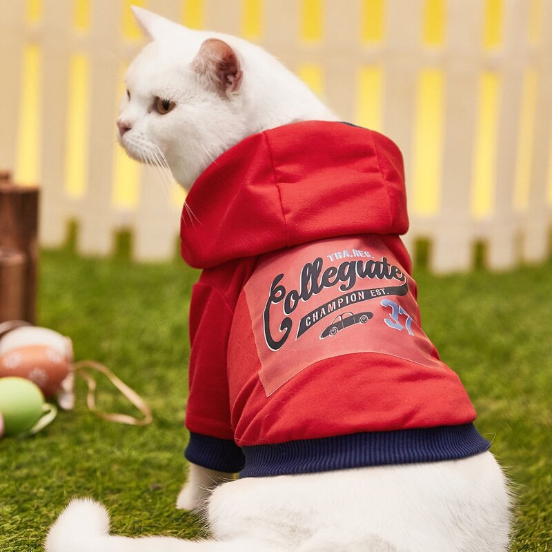 

Slogan Graphic Pet Hoodie, Red