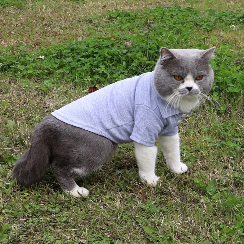 

Plain Pet Polo Shirt, Grey