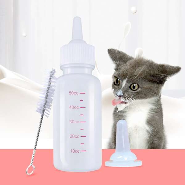 

3pcs Pet Feeder Bottle Set, White