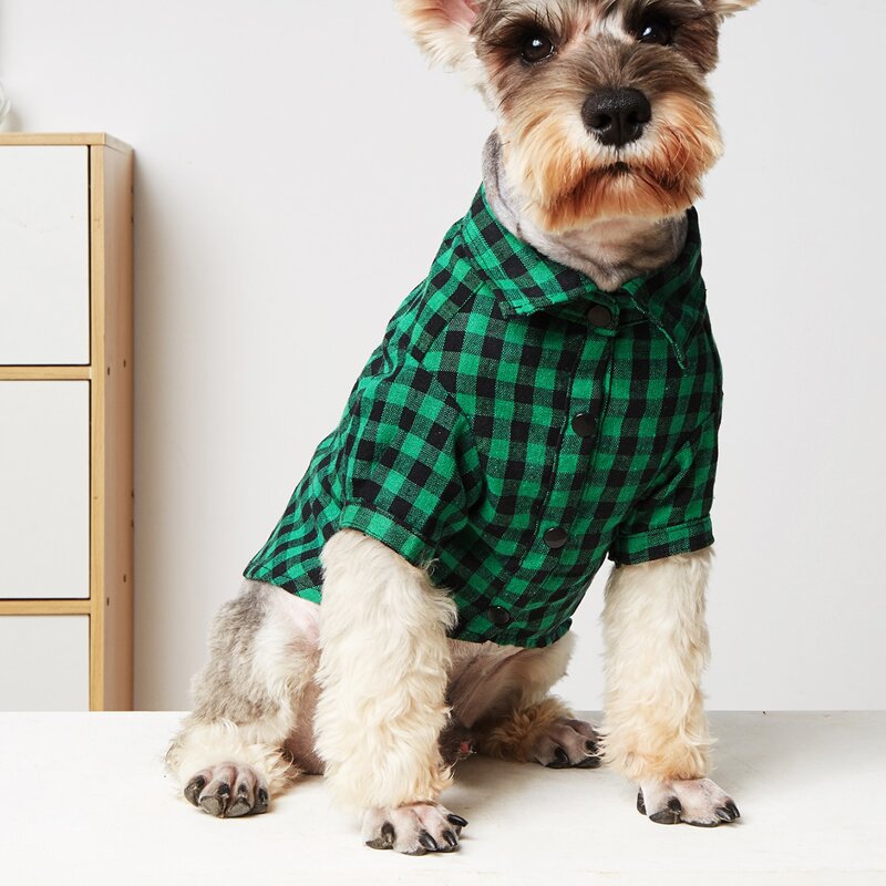 

Gingham Pattern Pet Shirt, Green