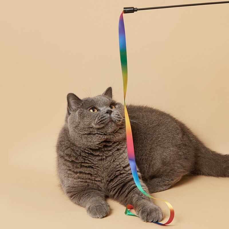 

Rainbow Ribbon Cat Teaser Stick, Multicolor