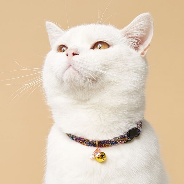 

Wing Pendant Bell Pet Necklace, Multicolor