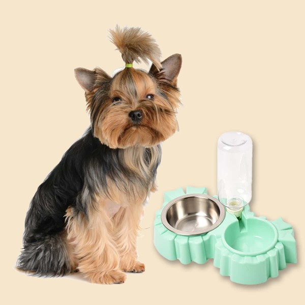 

1set Pet Bowl With Drinking Bottle, Green