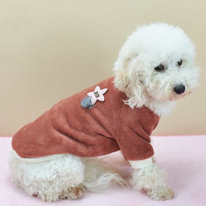 

Star Decor Pet Sweatshirt, Brown