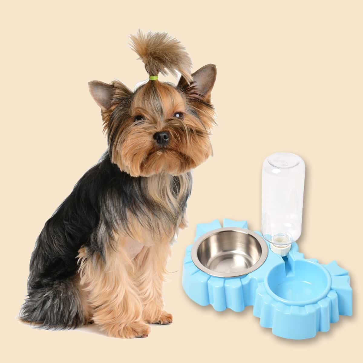 

1set Pet Bowl With Drinking Bottle, Blue