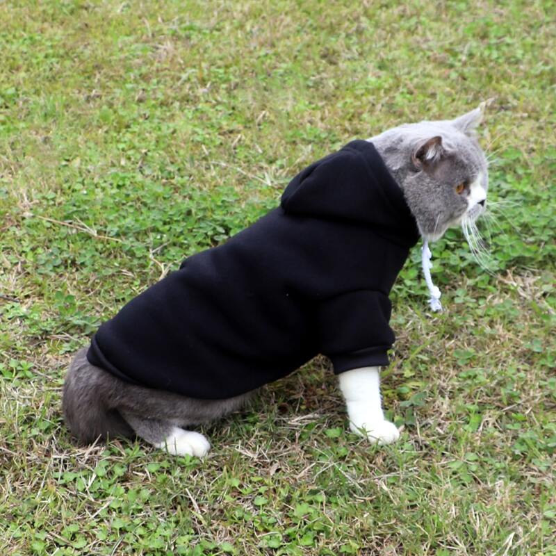 

Solid Color Pet Hoodie, Black