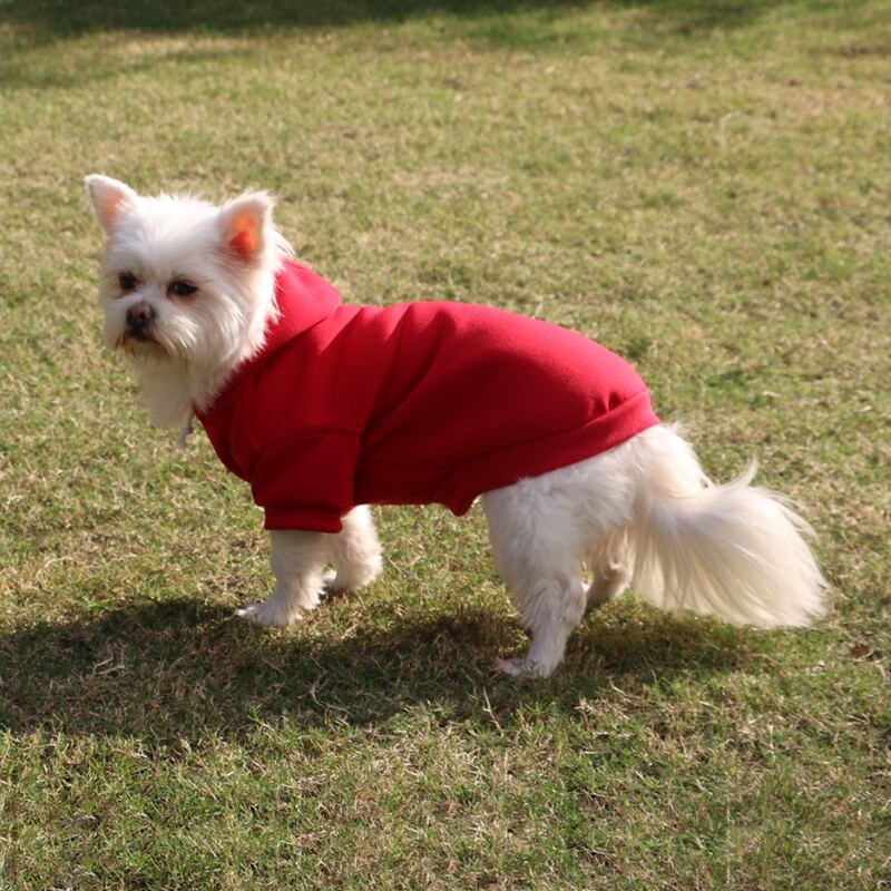 

Solid Color Pet Hoodie, Red