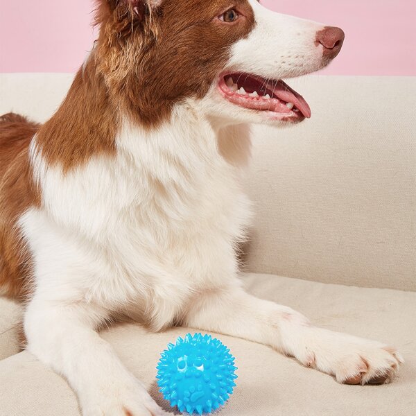 

Knobby Ball Pet Chew Toy, Blue