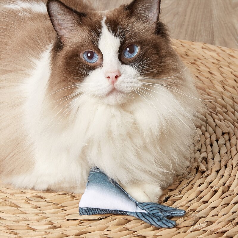 

1pc Fish Tail Shaped Pet Plush Toy, Blue