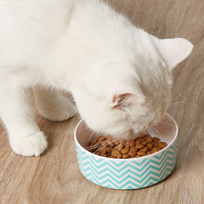 

Chevron Pattern Pet Bowl, Multicolor