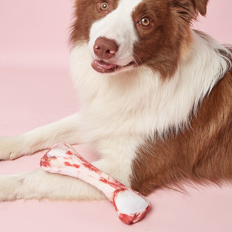 

Bone Shaped Pet Sound Toy, Multicolor