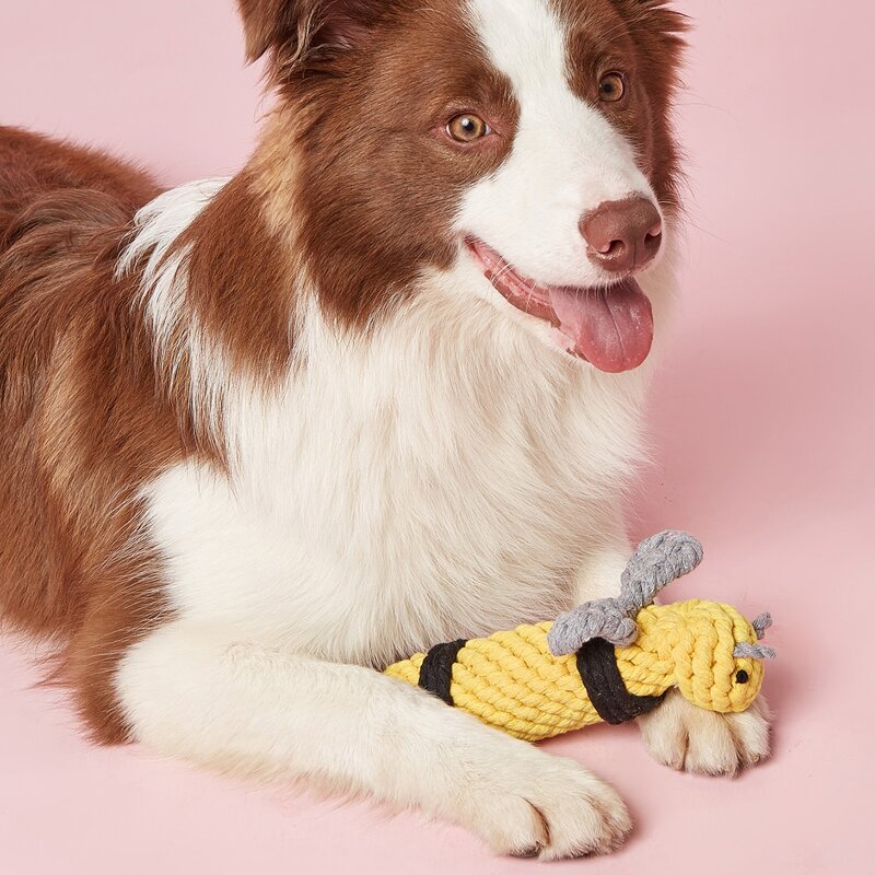 

Bee Shaped Pet Chew Toy, Multicolor