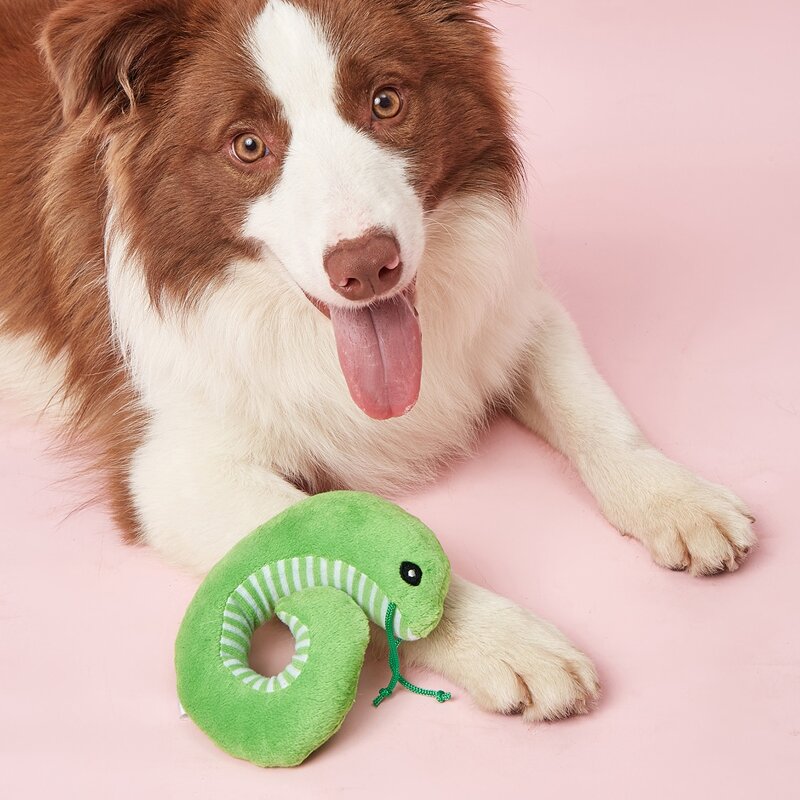 

Snake Shaped Pet Sound Toy, Green