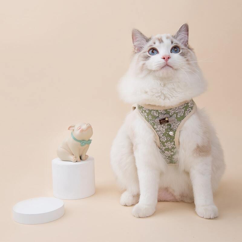 

1pc Flower Print Pet Harness & 1pc Leash, Green