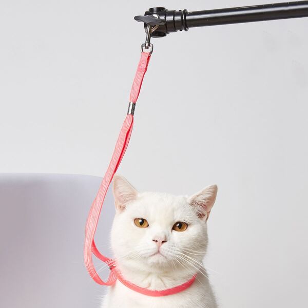 

1pc Random Color Pet Leash, Multicolor