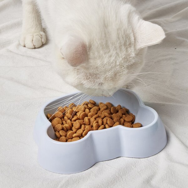 

Cartoon Graphic Pet Bowl, Multicolor