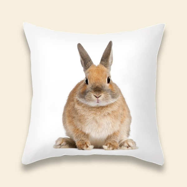 

Rabbit Print Cushion Cover Without Filler, Multicolor
